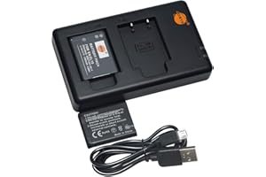 DSTE 2X EN-EL19 ENEL19 Battery + Rapid Dual Battery Charger Compatible with Nikon Coolpix A100 S3200 S3300 S3400 S3500 S4400 