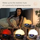 Lumie Bodyclock Shine 300 Wake-up Light Alarm Clock with Radio 15 Sounds view 3