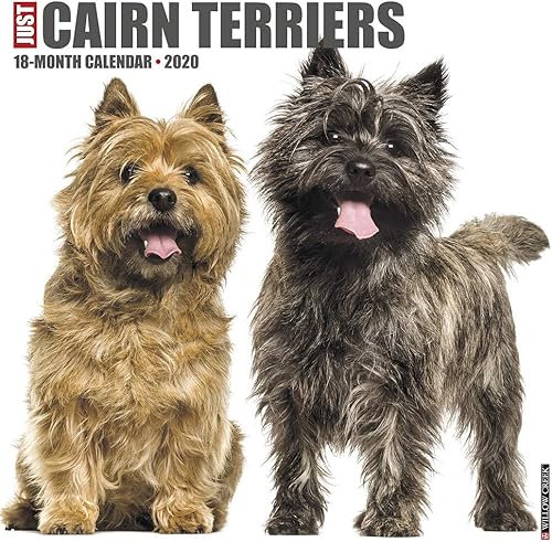 Download Just Cairn Terriers 2020 Calendar PDF