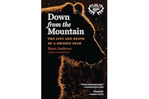 Down From The Mountain: The Life and Death of a Grizzly Bear – Evocative Nature Writing on Wildlife Survival in Montana's Cha