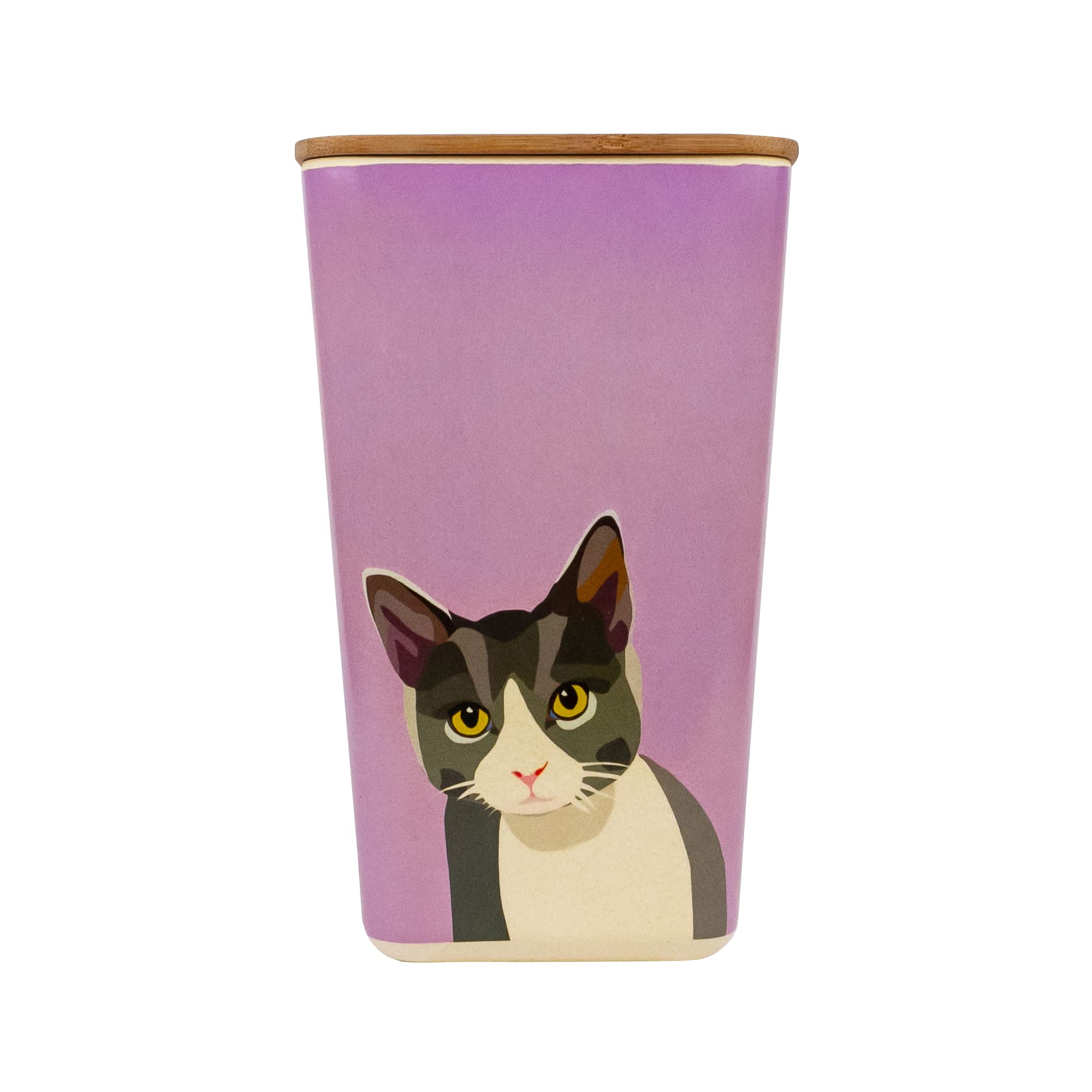 Emily Brooks Cat Treats Storage Pot