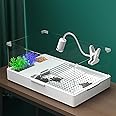 Geegoods Turtle Tank - Aquarium with Platform for Pet Turtle & Reptile Habitat