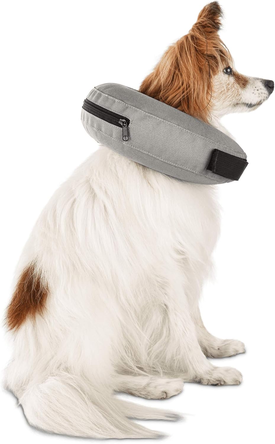 well and good inflatable dog collar