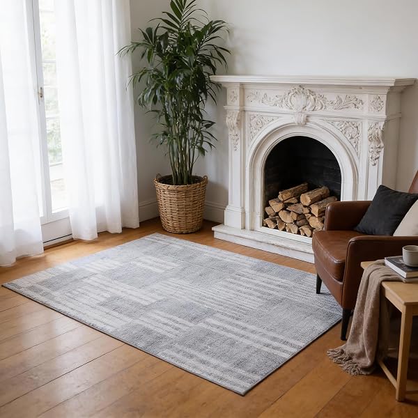 ASH TONAL GRAY THROW RUG 4X6 – WASHABLE...