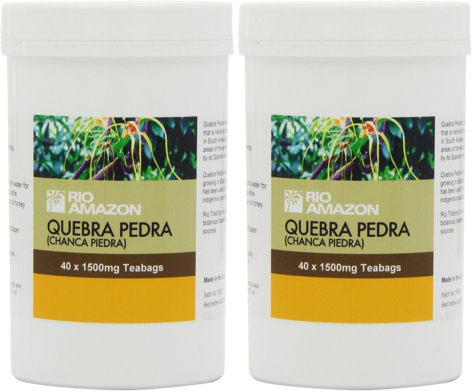 (2 PACK) - Rio Trading Quebra Pedra (Chanca Piedra) Teabags| 40 Bags |2 PACK - SUPER SAVER - SAVE MONEY