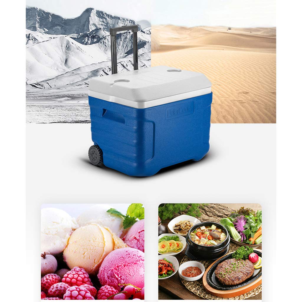 JCOCO Nevera con Ruedas Grandes - 20L / 40L Bebida de Comida ...