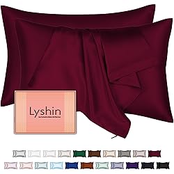 Mulberry Silk Pillow Cases 2 Pack Standard Size