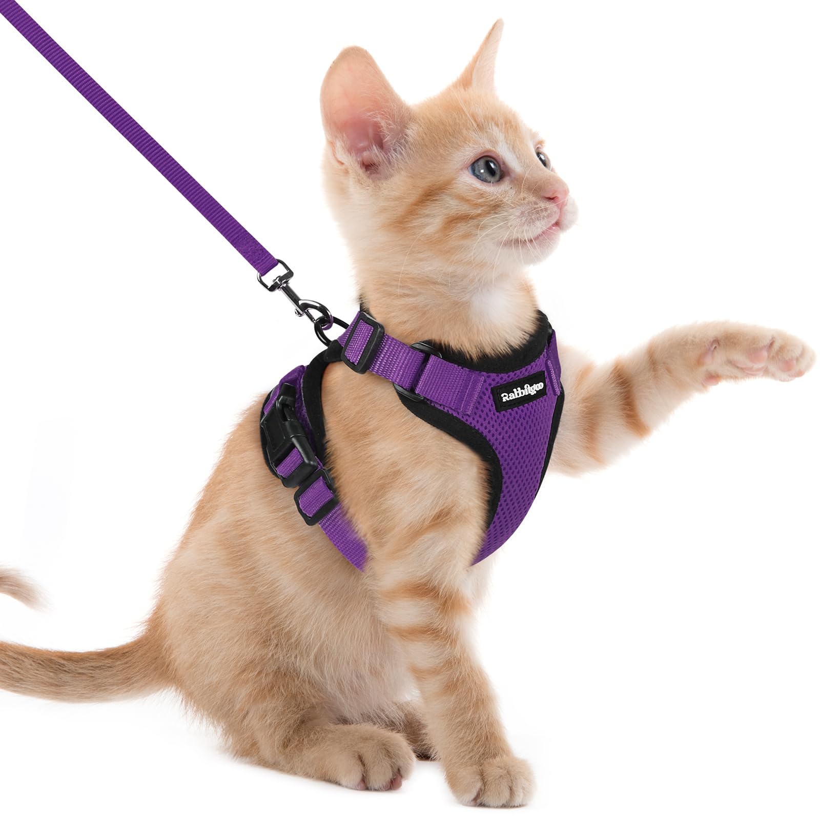 rabbitgoo Cat Harness and Lead Set, Adjustable Escape Proof Cat Lead for Walking, Reflective Kitten Harness Set, Soft and Comfortable for Kittens and Small Cats, Purple, XXS — image 1