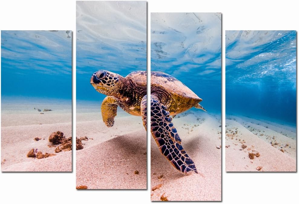 The 8 Best Pacific Home Decor