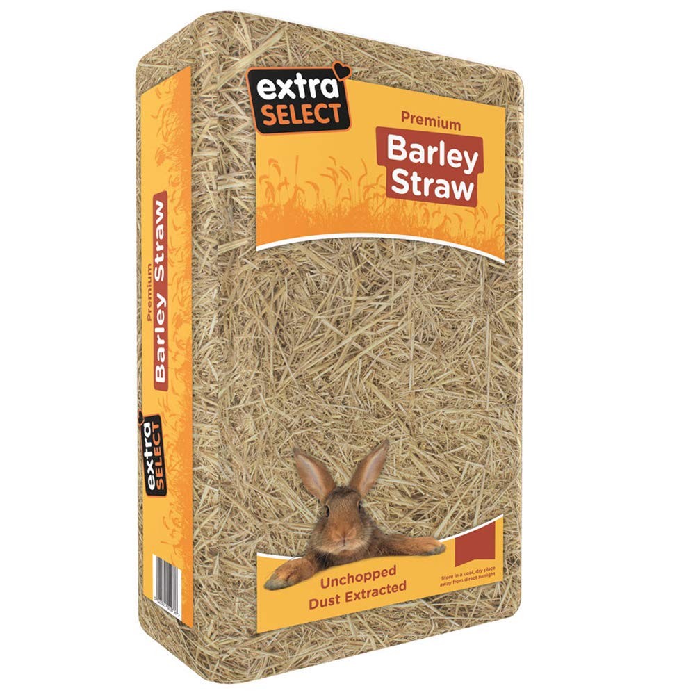 Extra Select Barley Straw Bedding - Soft Animal Bedding for Rabbit, Tortoise, and More - 3 kg (Pack of 2)