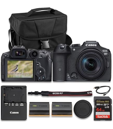 Amazon.com : Canon EOS R7 Camera with EF 50mm Lens (5137C002
