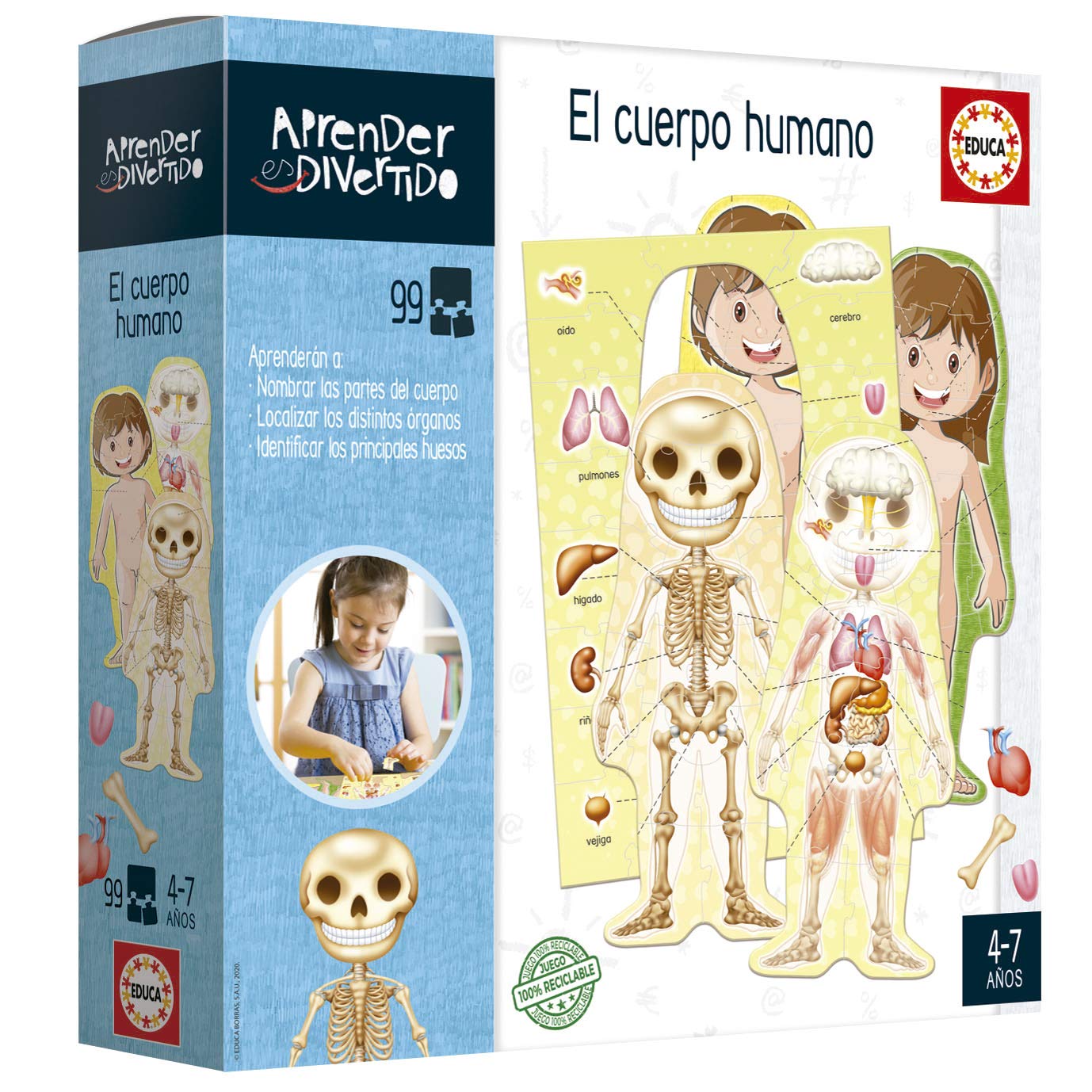 Educa - I learn the Human Body | Learning is Fun | Educational toy children 4 5 years old | They will learn the different parts of the body with a silhouette of boy or girl (18701)