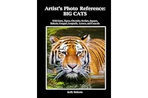 Artist's Photo Reference: Big Cats: With Lions, Tigers, Cheetahs, Ocelots, Jaguars, Bobcats, Cougars, Leopards, Lynxes, and Caracals (Paint & Draw Reference Photos)