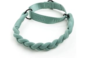 2026 New Edition, Fei & Eve Martingale Collar | Small (Glacier Green)