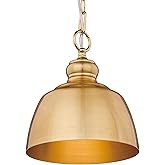 Golden Lighting Holmes 1-Light Pendant in Modern Brushed Gold