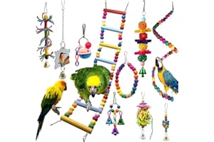 VolksRose 10 PCS Bird Parrot Toys, Birds Swing Toy Colorful Chewing Hanging Hammock Bell Pet Bird Climbing Ladders Toys for Small Parakeets, Cockatiels, Conures, Finches, Budgie, Mynah, Love Birds