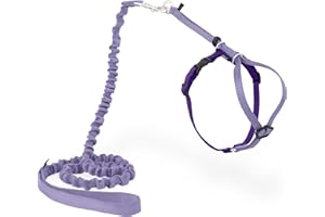 PetSafe Come With Me Kitty Harness and Bungee Cat Leash, Medium, Lilac