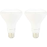 Amazon Basics Hobbyist Grow Light BR30 - 2-Pack