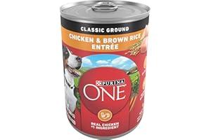 Purina ONE Classic Ground Chicken and Brown Rice Entree Adult Wet Dog Food - (Pack of 12) 13 oz. Cans