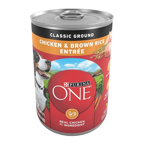 PURINA ONE CLASSIC GROUND CHICKEN AND BROWN RICE...