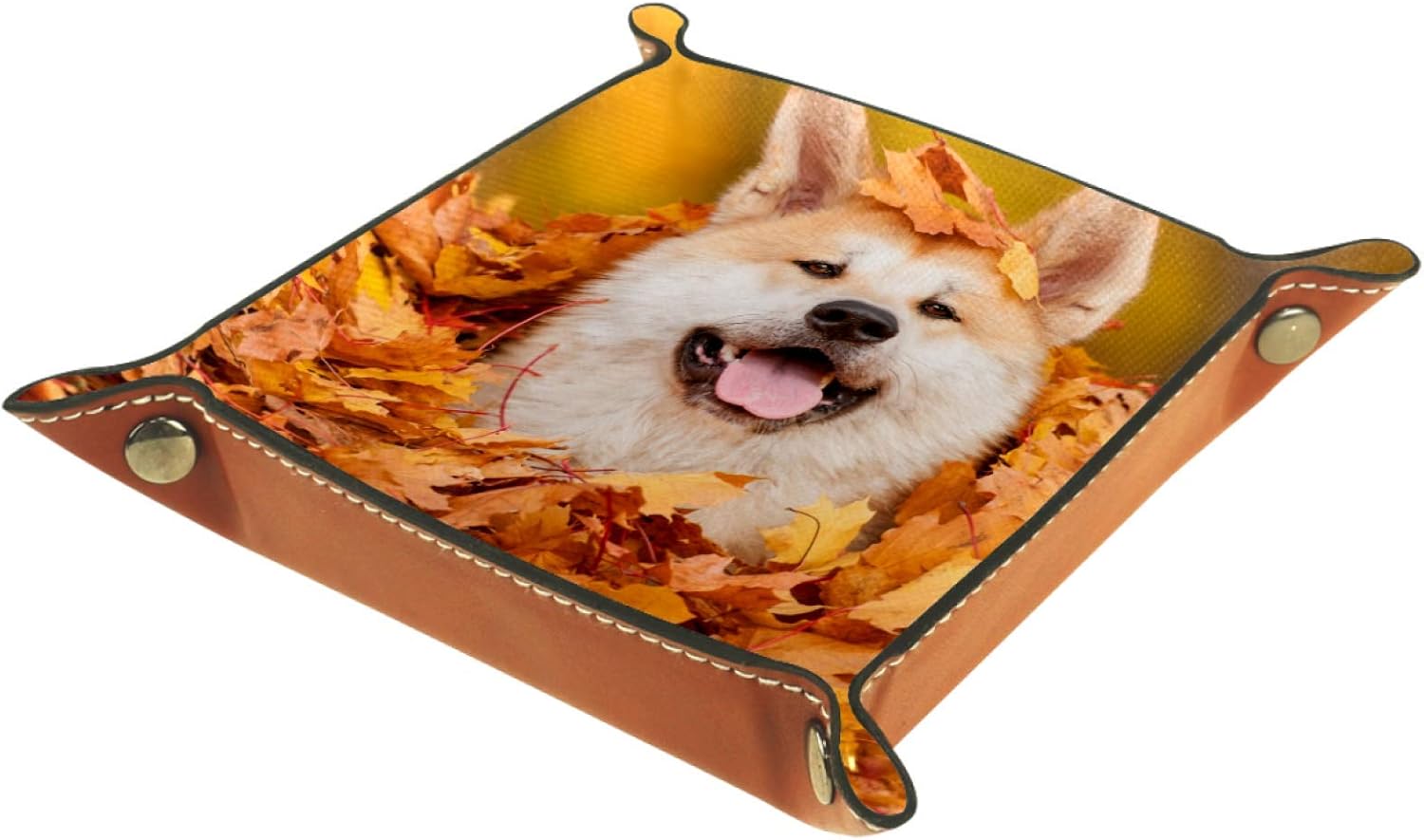 YATELI Kleine Aufbewahrungsbox,Herren-Valet-Tablett,Porträt des Akita