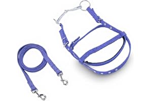 Horse Bridle, Adjustable Horse Bridle Headstall Equestrian Rein, Harness Horse Headstalls Bit Horse Equestrian Accessories