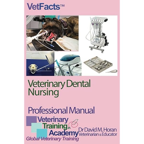 Current Veterinary Therapy: Food Animal Practice: 9781416035916
