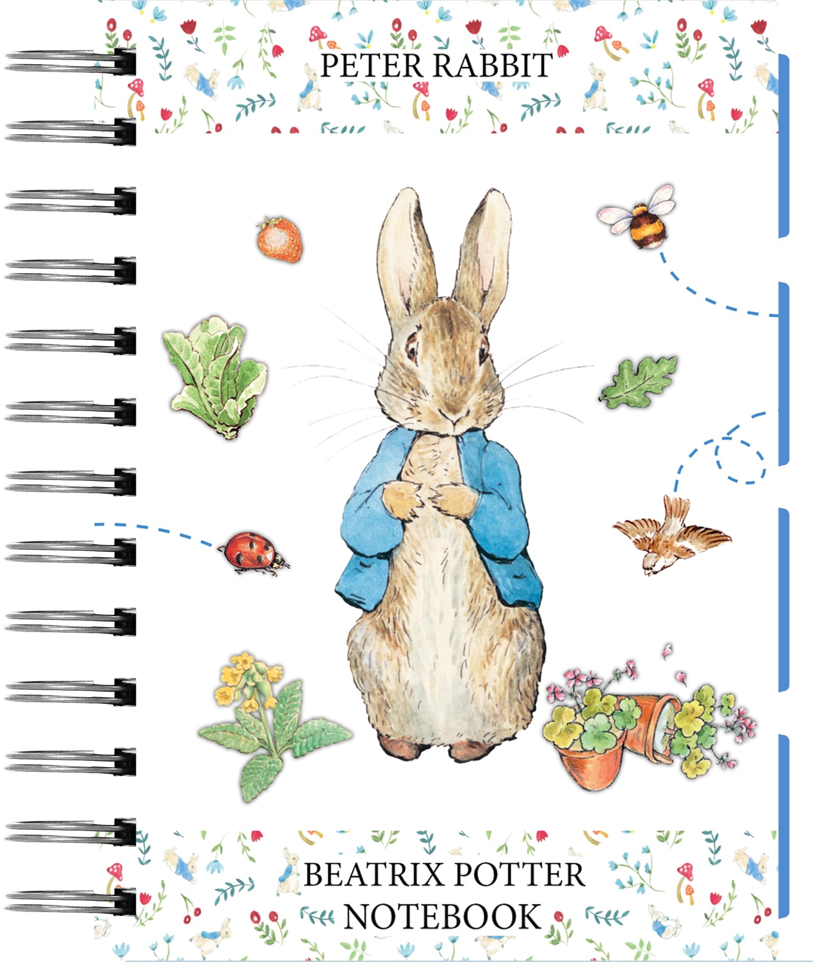 Robert Frederick Peter Rabbit A5 Wiro Notebook with Dividers