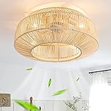 zheshirui 20" Boho Caged Ceiling Fan with Lights