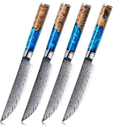 Amazon.com: SENKEN Damascus Steak Knife Set - Tsunami Collection