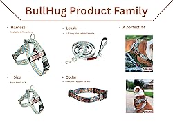 BullHug Adjustable Dog Collar – Soft Durable
