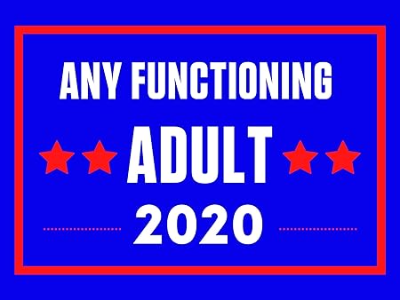 Amazon Com Smart Designs Yard Sign For Lawn With Metal Stake Any Functioning Adult Funny Politics 2020 Biden Trump Believe And Imagine Equality And Justice Garden Outdoor