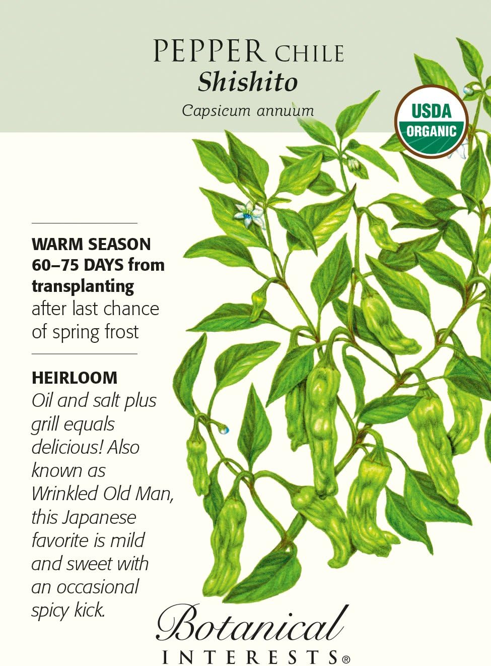Organic Shishito Chile Pepper - 25 Seeds