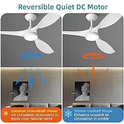 Roomratv Ceiling Fans with Lights,Large Airflow