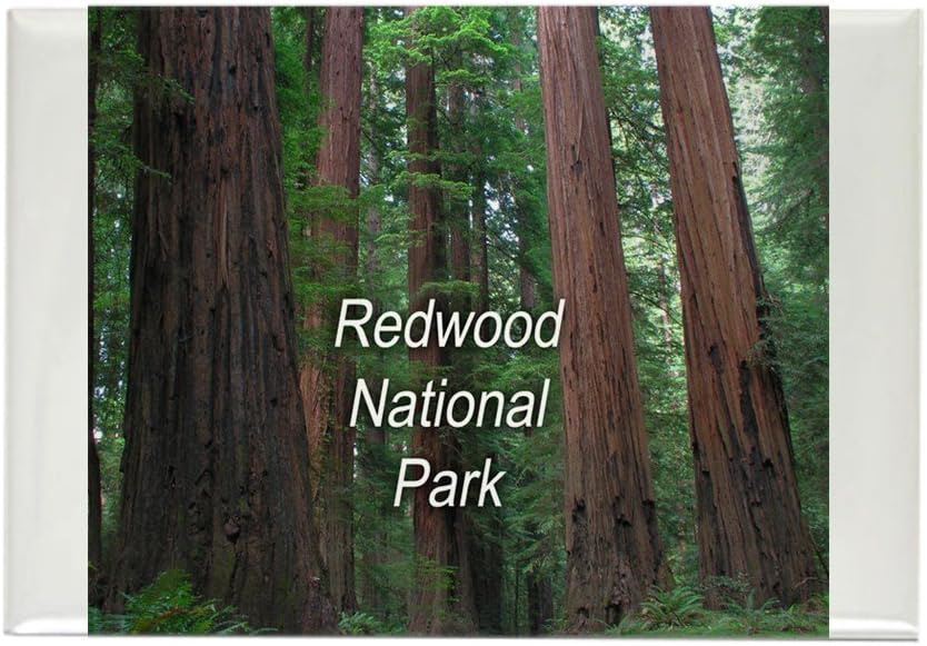 Best Redwood Refrigerator Magnets