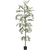 Shady Lady Faux Tree 7ft for Home Décor Black Olive Tree 84inches Realistic Fake Potted Plants with Moss Indoor Bucida Buceras Artificial Tall Trees with Natural Wood Trunk Housewarming Outdoor