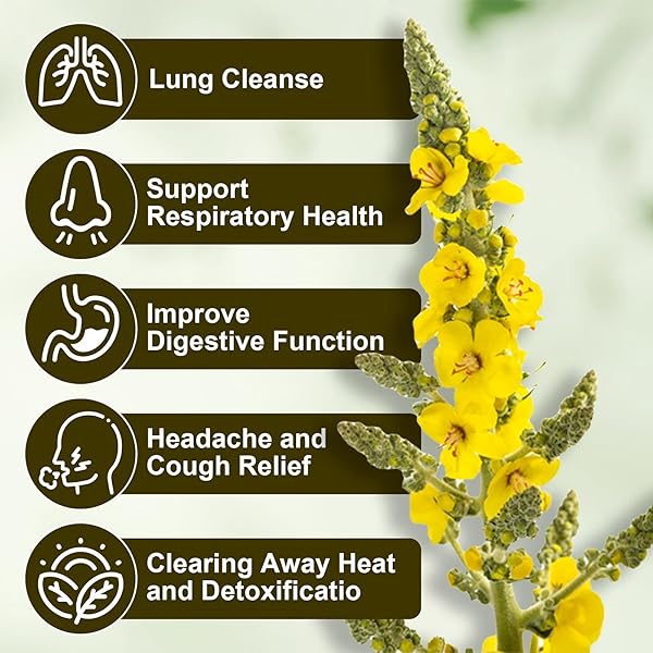 MULLEIN LEAF TEA BAGS | 20 TEABAGS (3G/BAG) FOR LUNG HEALTH | NON-GMO & CAFFEINE-FREE | NATURAL HERBAL TEA FOR DETOX & RESPIRATORY SUPPORT (1BOX)