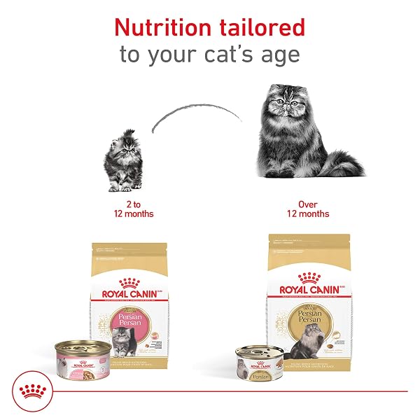 ROYAL CANIN FELINE BREED NUTRITION PERSIAN KITTEN DRY CAT FOOD, 3 LB BAG