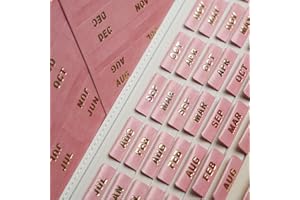UPAFEXXI-Leather Monthly Tabs, 48 Pcs Planner Tabs, Calendar Month Stickers for Planners, Organizing and Sorting out Notebooks(Pink)