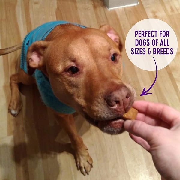 WELLNESS WELLBARS DOG TREATS, NATURAL, TRAINING TREAT, GRAIN FREE, CRUNCHY YOGURT, APPLES & BANANA (45 OUNCE BAG)