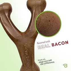 Benebone Wishbone Durable Dog Chew Toy for