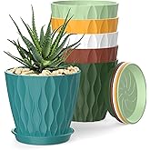 4 Inch Plant Pots, 6 Pack Indoor Flower Pots, Planters with Drainage Holes and Trays for Orchids, Violets, Succulents, Herbs,