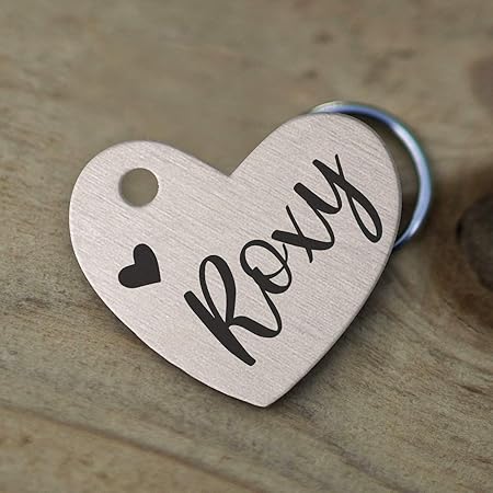 mini dog tags for pets