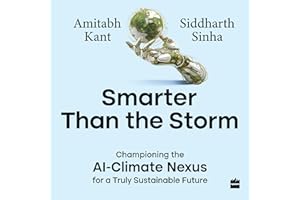 Smarter Than the Storm: Championing the AI-Climate Nexus for a Truly Sustainable Future