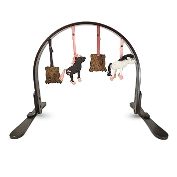 finn and emma wooden play gym