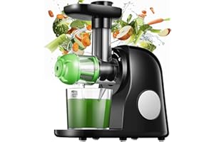 ZZWW Juicer Machine, Slow Masticating Juicer with Quiet Motor, Reverse Function, High Juice Yield, Drier Pulp, Cold Press, Hi