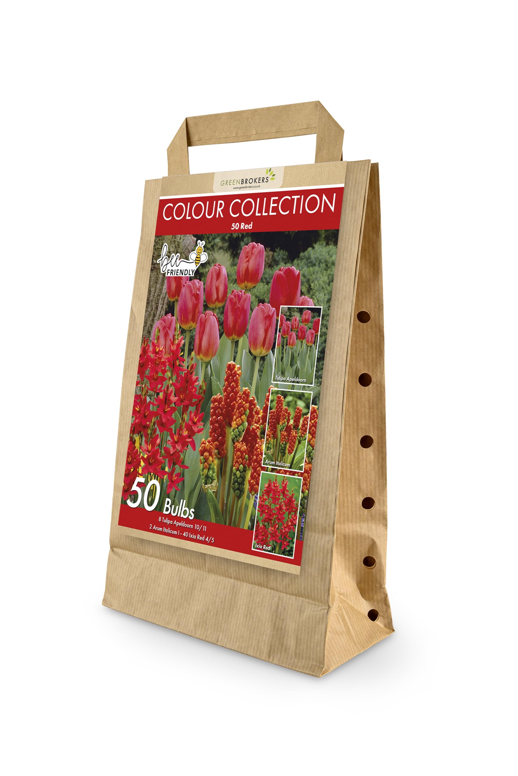 GreenBrokers Colour Collection Spring Flower Bulbs - Red