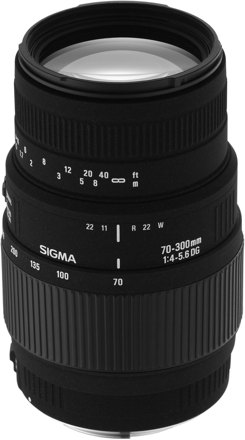 Sigma 70300mm F45.6 DL Macro Super Lens for MinoltaAF Camera Amazon