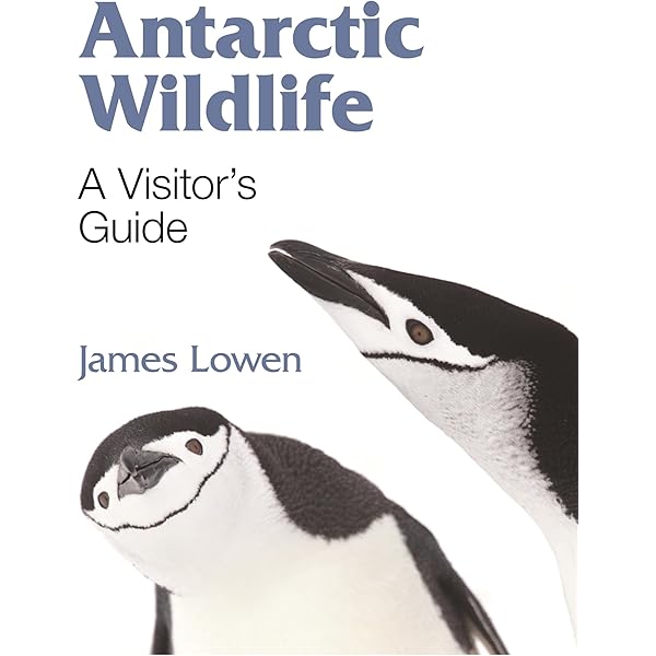 Birds of Patagonia, Tierra Del Fuego and Antarctic Peninsula: The