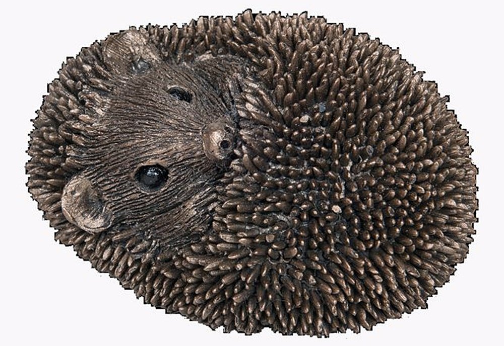Frith Sculpture Cold Cast Bronze Baby Hedgehog Asleep Statue Ornament Home Decoration